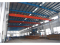 Single Girder Overhead Crane