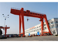 Overhead Gantry Crane