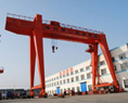 Overhead Gantry Craner